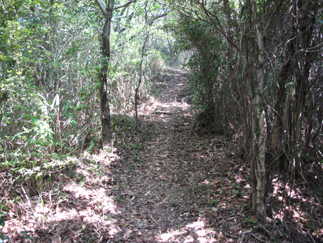 20140426hike (96)